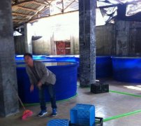 迅升大規(guī)格塑料養(yǎng)殖桶_水產(chǎn)養(yǎng)殖桶價(jià)格_養(yǎng)...